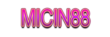 MICIN88